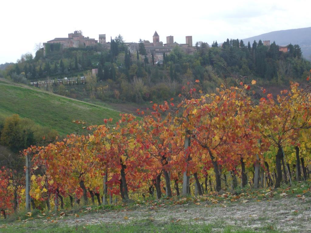 Agriturismo Il Torrione Certaldo Exterior photo